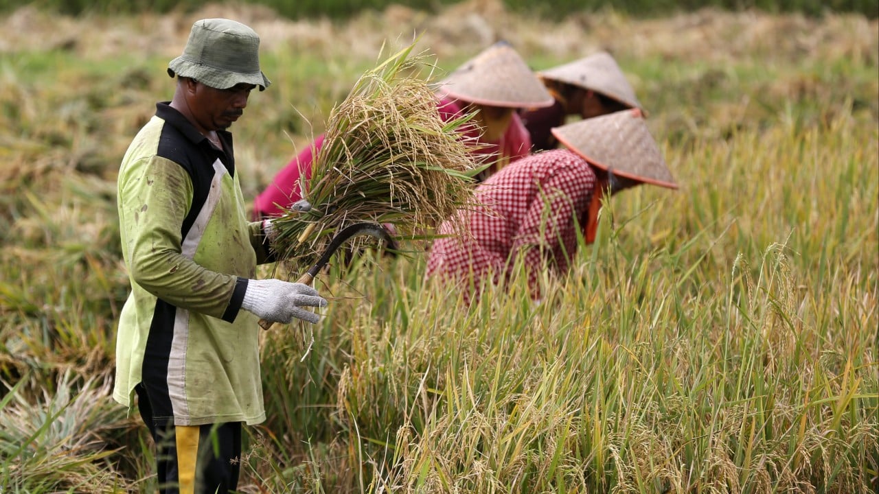 Why spike in fertiliser prices may boost China’s political clout amid Iran war shockwaves