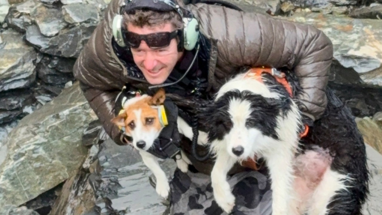 Dog lost for a week in New Zealand bush found after strangers fund US$6,300 air search