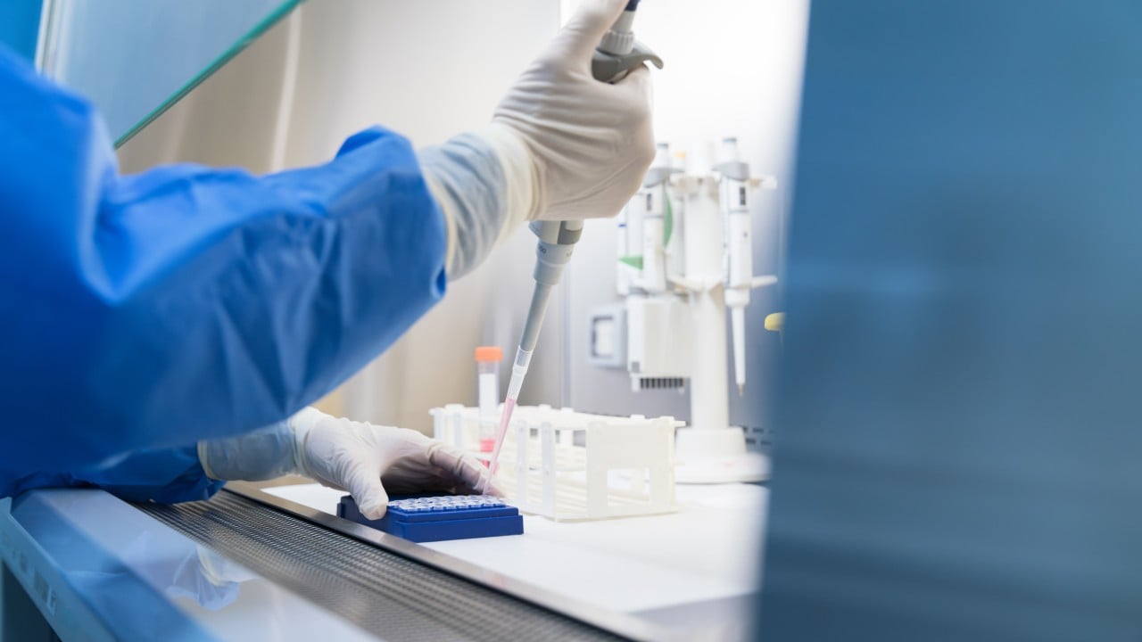 HKTVmall parent firm under fire for testing how long detached animal heads can survive