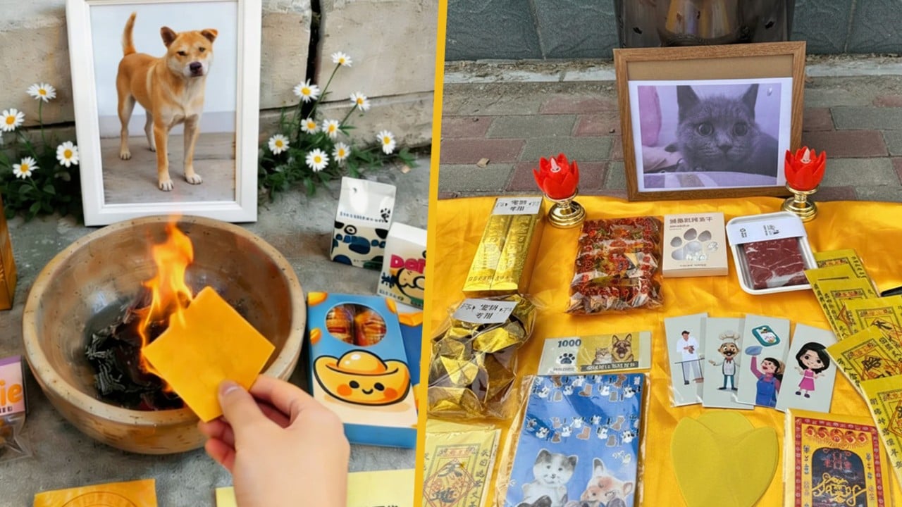 From Wagyu to joss paper: rise of pet spirit money, luxury farewell ceremonies take China by storm