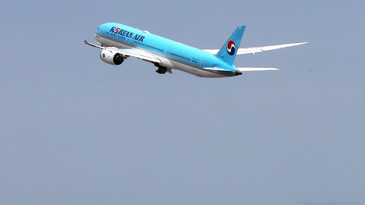 ‘I can’t breathe’: Korean Air sued over in-flight death of passenger