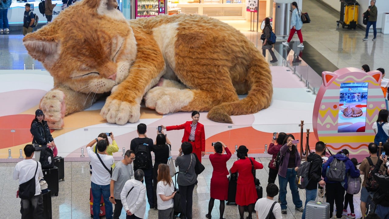 Move over, Easter Bunny: cats are the stars in Hong Kong this holiday