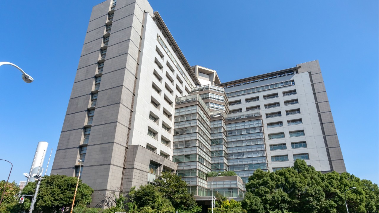 **Japan Deports Record Numbers, Stoking Refugee Fears**