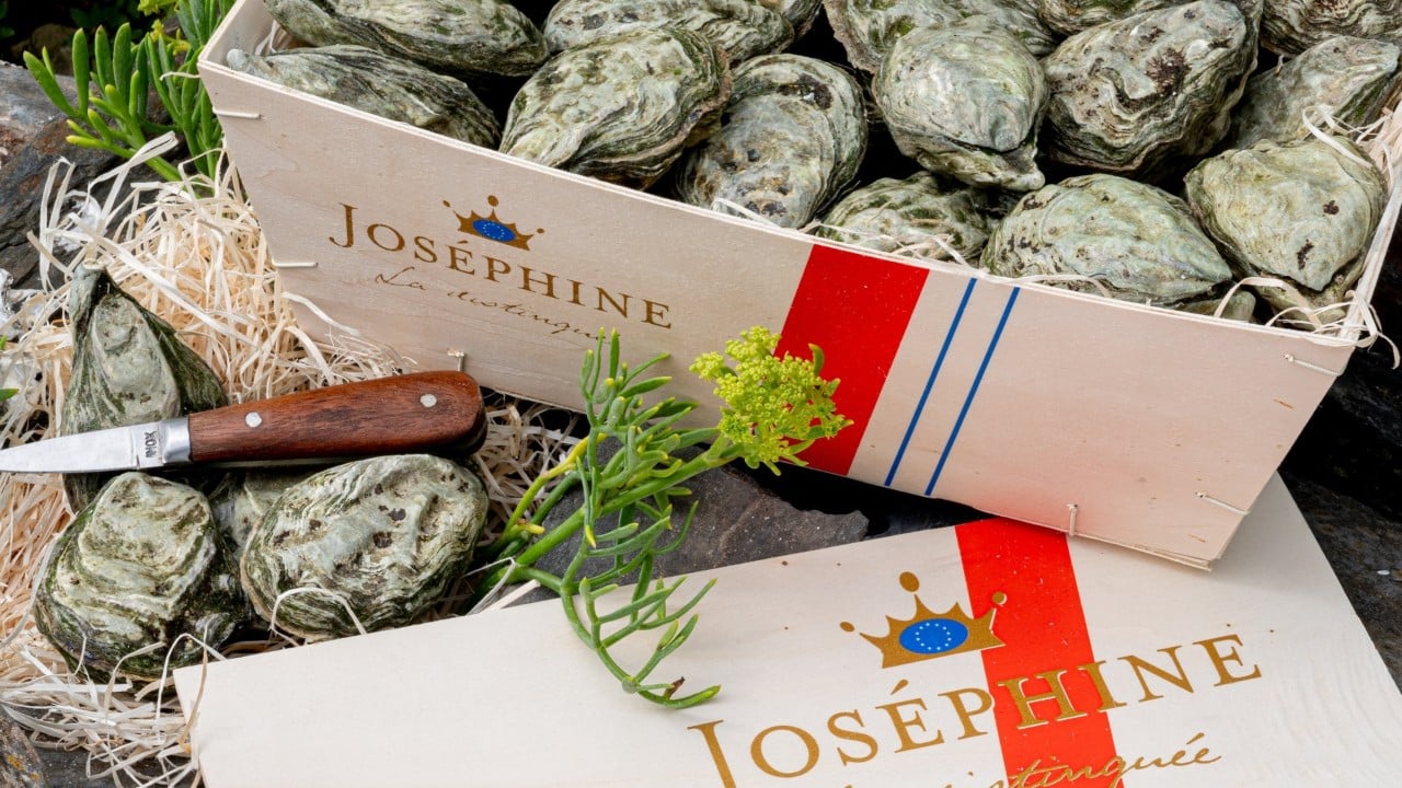 Hong Kong halts raw oyster sales from French brand over possible gastroenteritis link