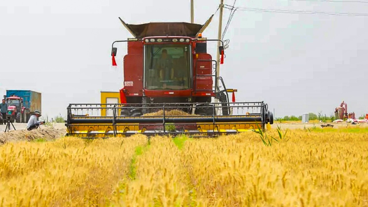 2 years on: China proves its ‘desert wheat farms’ are not a hoax