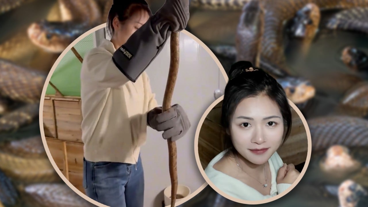China woman returns to hometown to raise 60,000 venomous snakes, earns US$146,000 annually