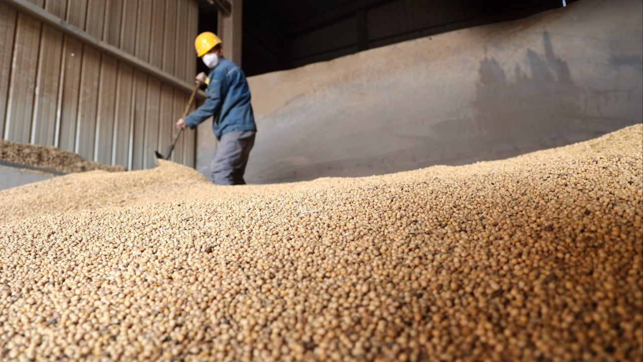 China warns of food security risks as Iran war threatens global supplies