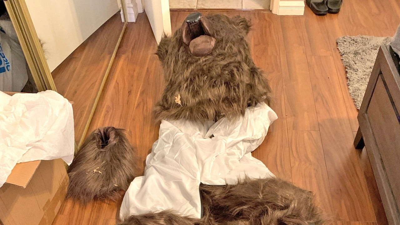 Bir ayı kostümünün bu lüks araba sigortası dolandırıcılarına özgürlüklerini nasıl kaybettirdiği