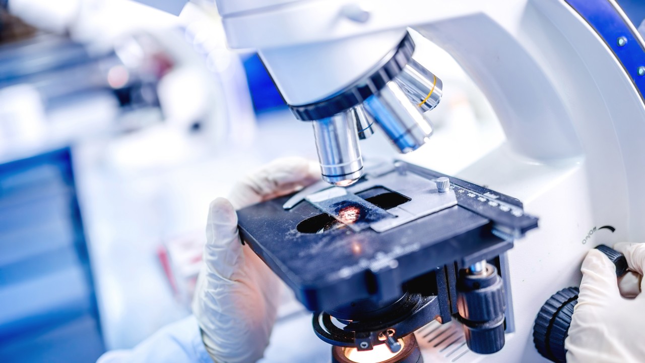 8 China Firms Greenlit for HK Listing Boom