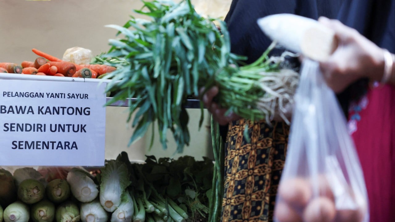 Mixed bag: Indonesia’s 8% growth dream hits a plastic ceiling