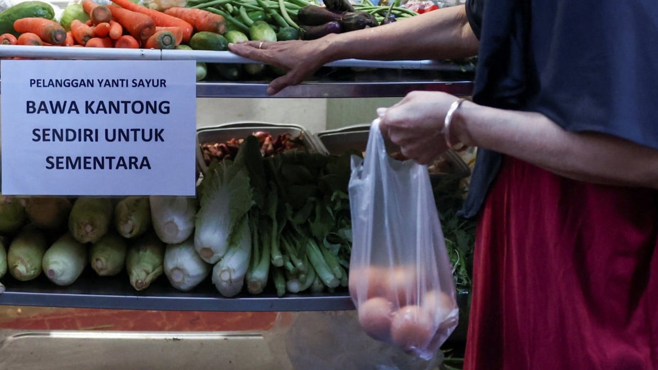 Mixed bag: Indonesia’s 8% growth dream hits a plastic ceiling