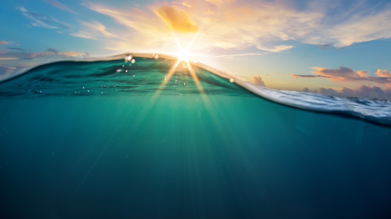 Scientists in China create a predator-like material to hunt for uranium in the ocean