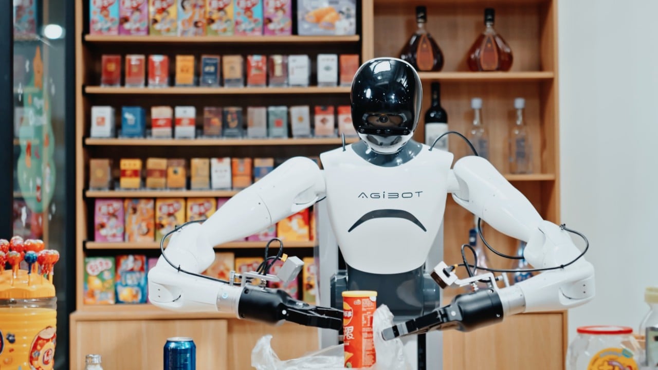 China Robot Boom Hits Commercialization Wall