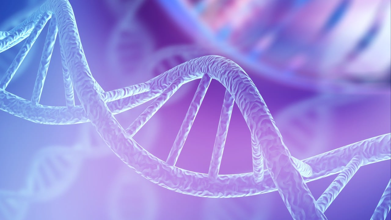 Gene study reveals unknown human migration into South America as late as 720AD