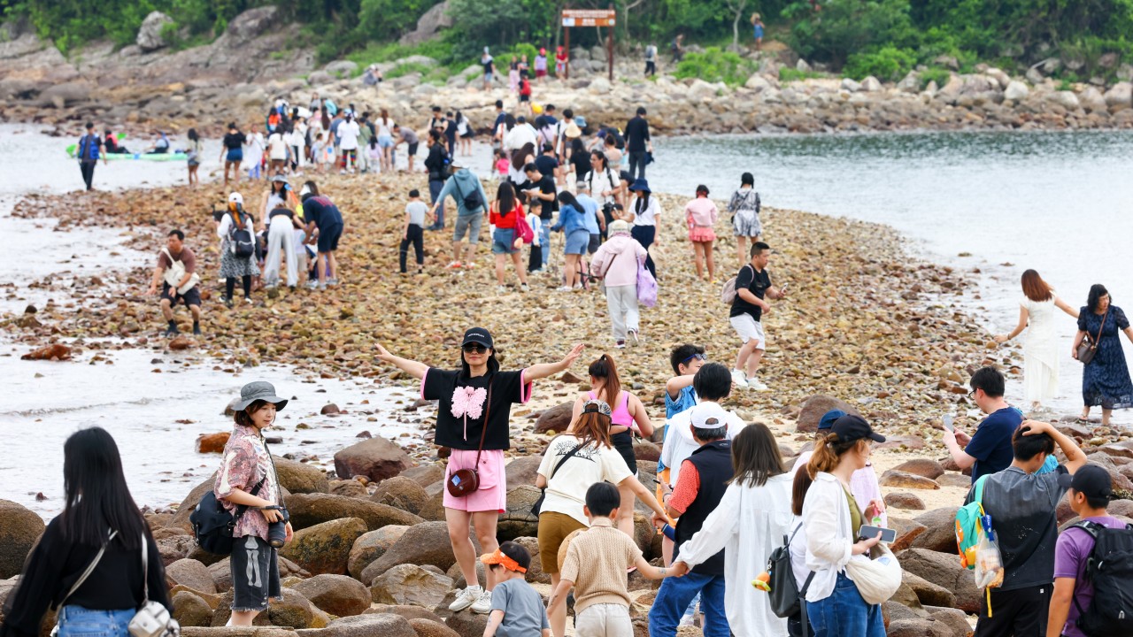 ‘Never knew there were corals,’ visitors say after learning about Sharp Island’s reefs