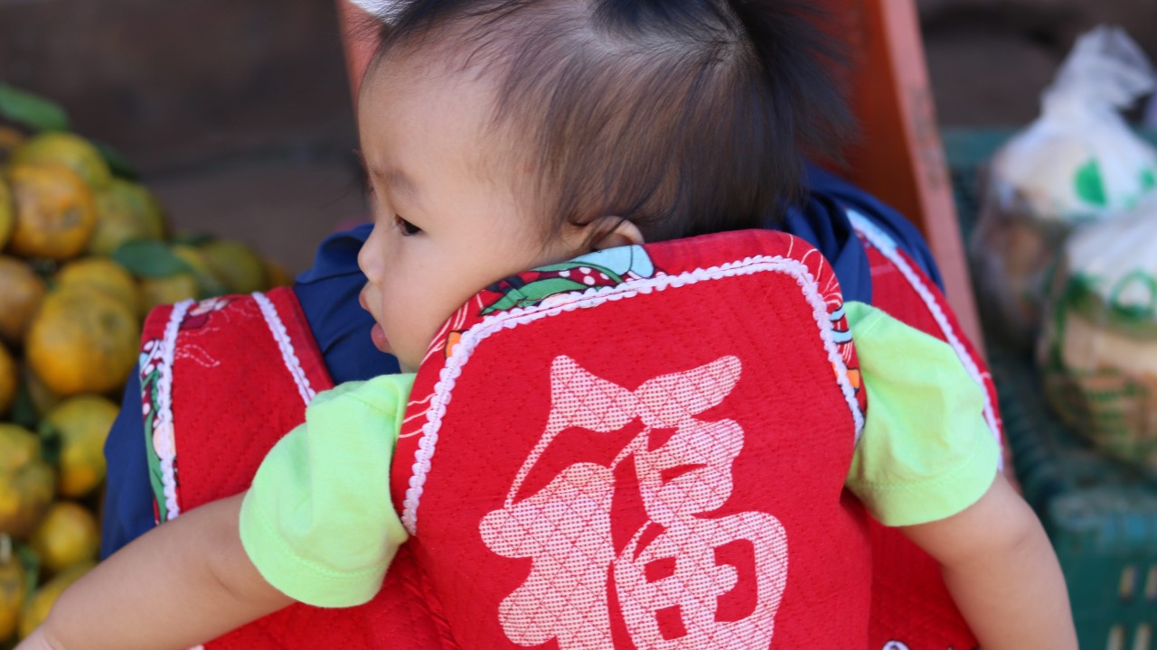 Systemic Vulnerabilities in Civil Registration The Mechanics of the Thai Phantom Birth Crisis
