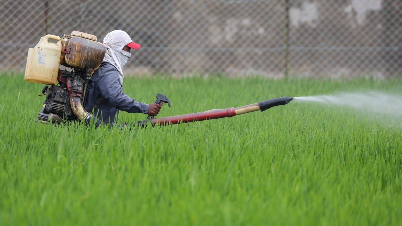 Asia must unite to avert an Iran war food crisis