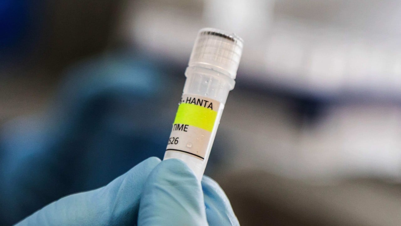 ‘Almost zero’ chance Dutch man got hantavirus in Argentina’s Ushuaia, official says