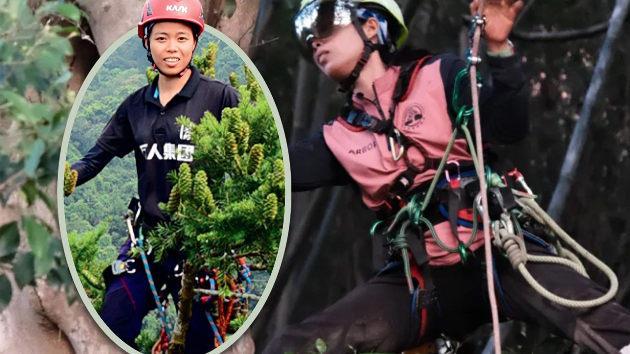 China’s first female expert tree climber transforms fear of heights into thriving career