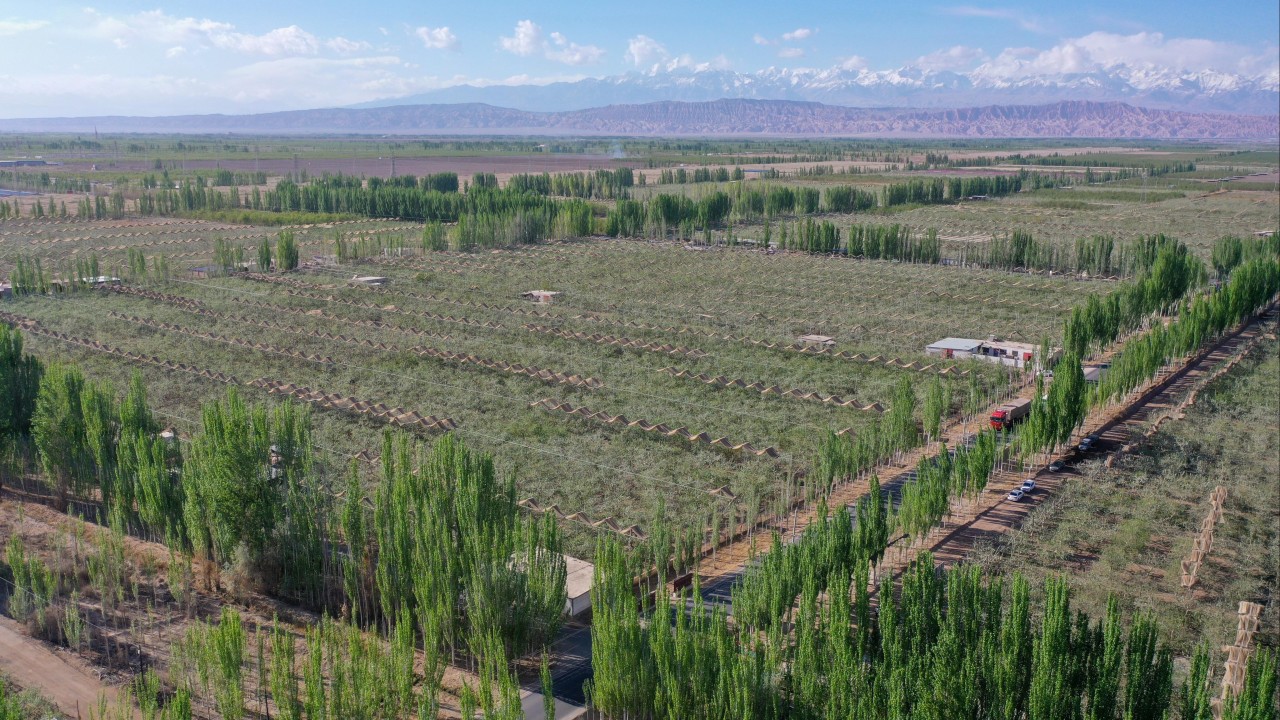 China launches new war on deserts with technology tested on far side of the moon