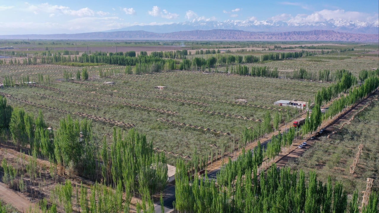 China usa tecnologia de missões lunares para combater desertificação