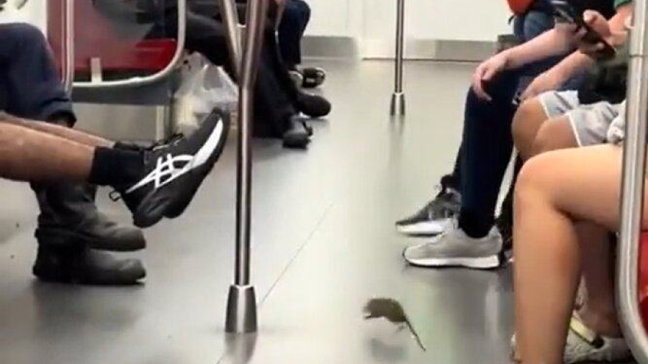 The Anatomy of Transit Biosecurity Failure Analyzing the SMRT Rodent Breach