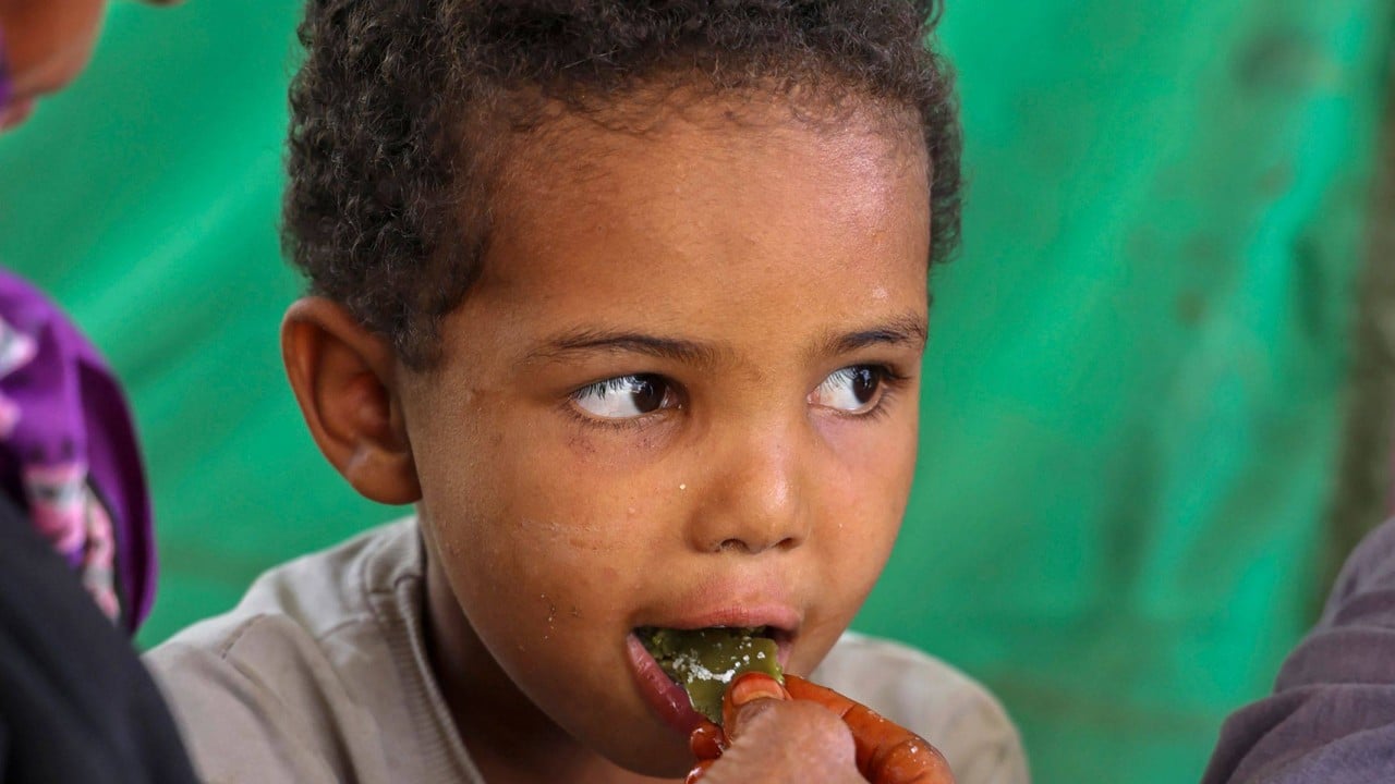 Yemen family eats tree leaves as humanitarian aid dries up
