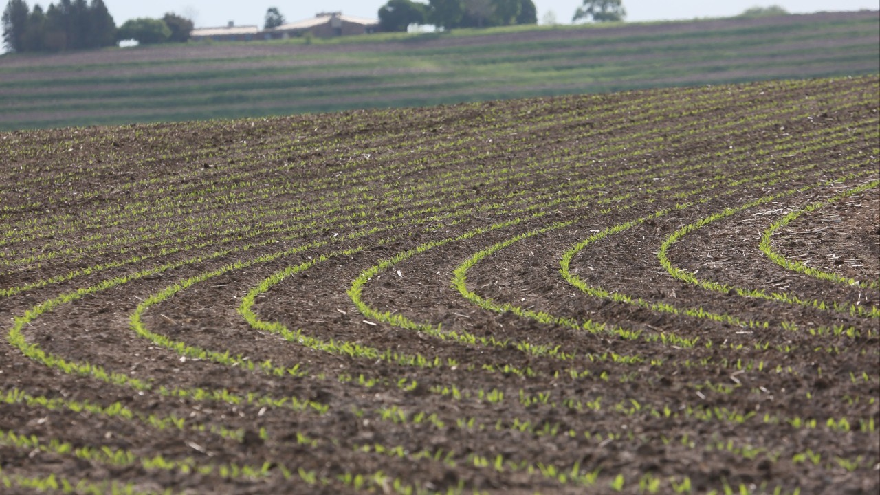 US farmers seek firmer soybean guarantees despite Xi-Trump agriculture pledge