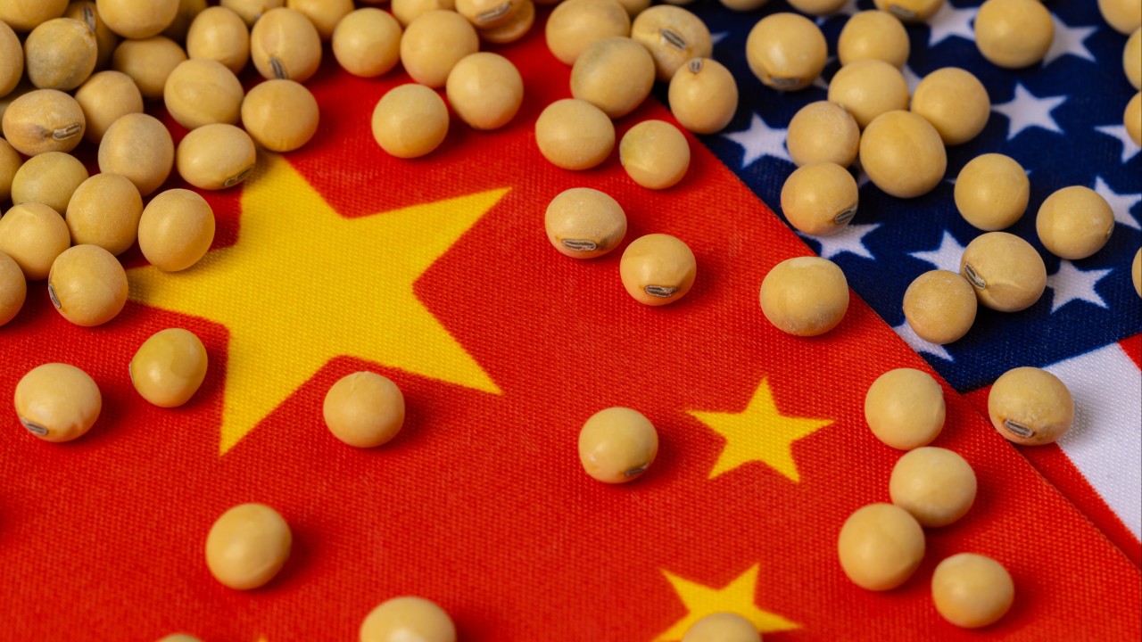 US farmers seek firmer soybean guarantees despite Xi-Trump agriculture pledge