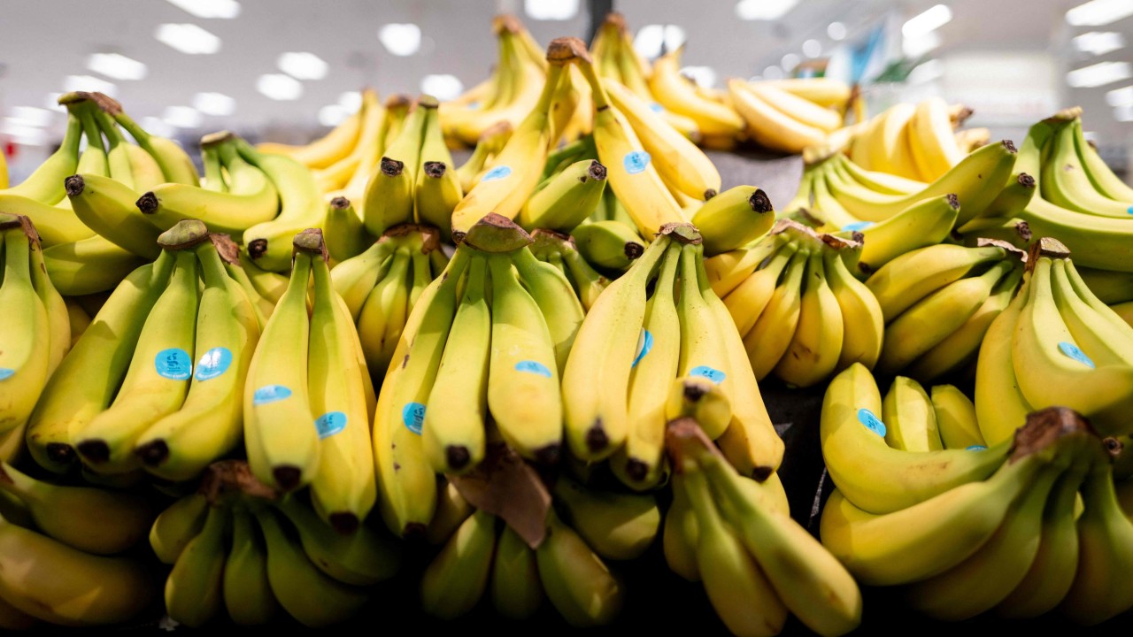 In Japan, ethylene shortage may cause bananas to ‘disappear’ from dining tables