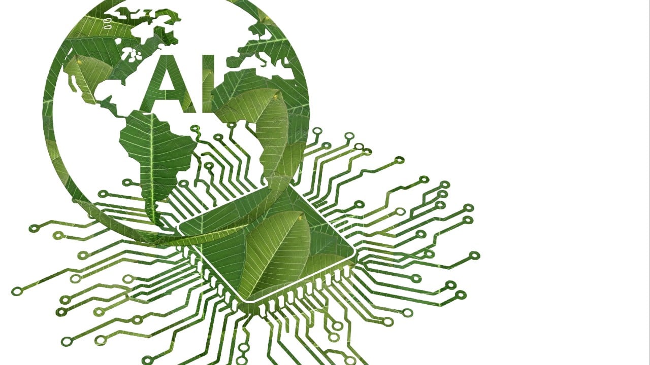 Environmental impact of polite AI interactions