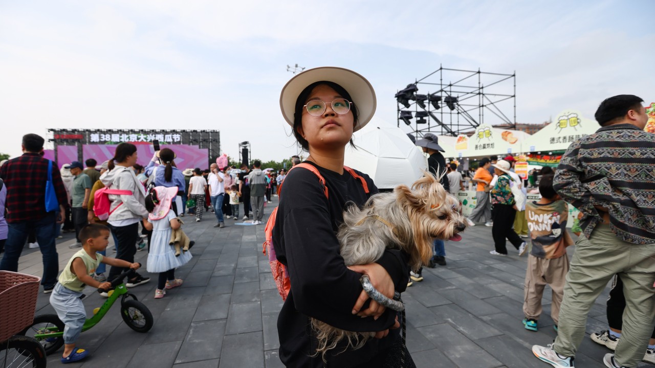 IPOs and expansion plans give China’s growing pet food sector paws for thought