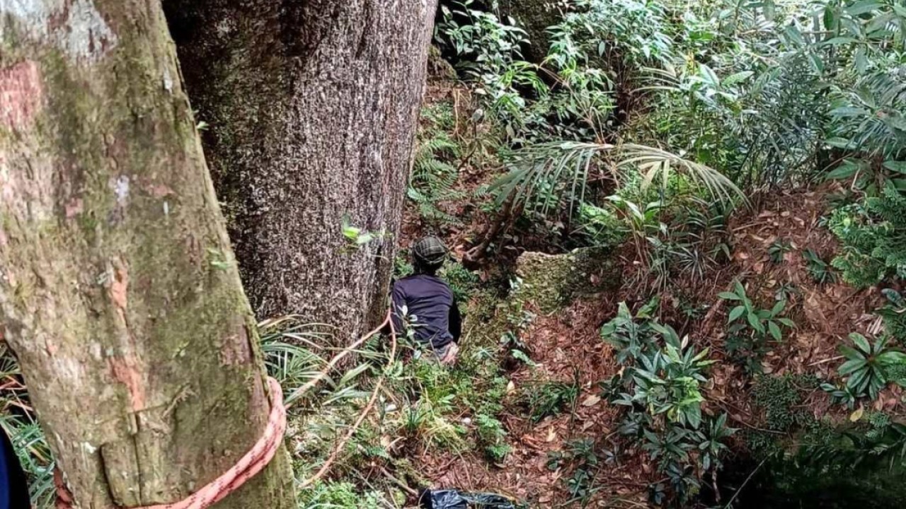 Trilheira é resgatada após duas semanas perdida em montanha na Malásia