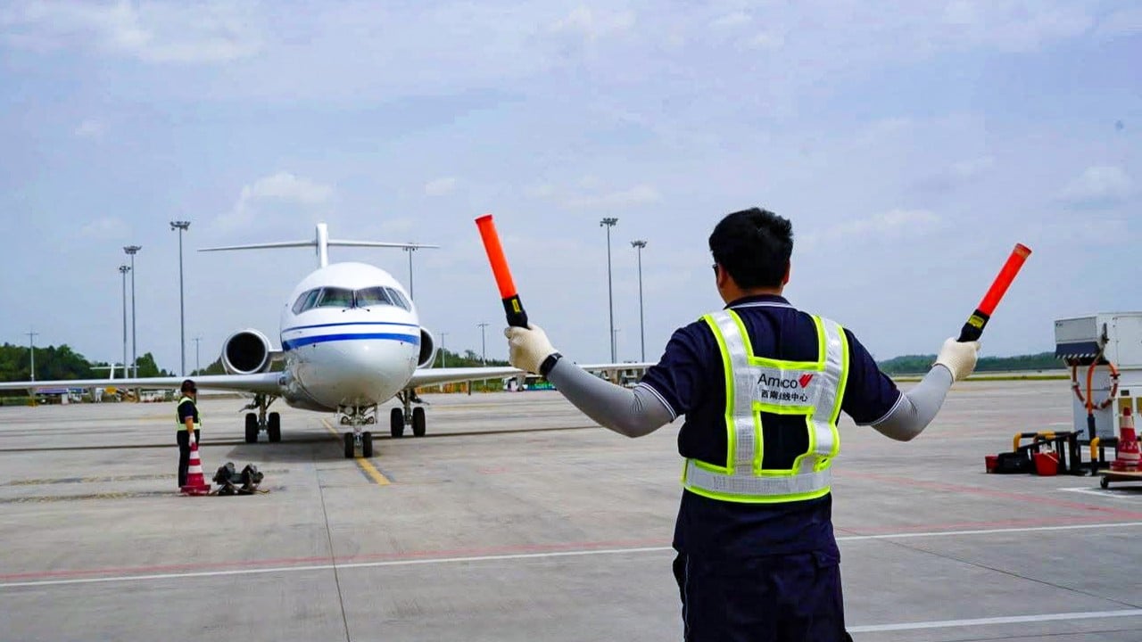 Air China C919 jet sustains minor damage after bird strike