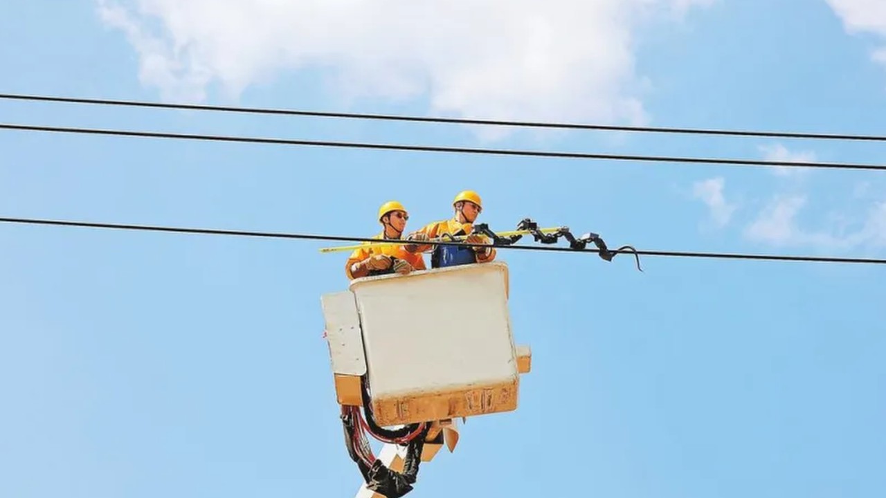 Don’t panic if you see a snake on a Chinese power 