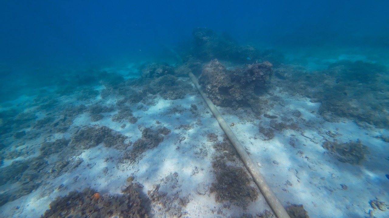 Deep-sea cable cutting can be a weapon of deterren