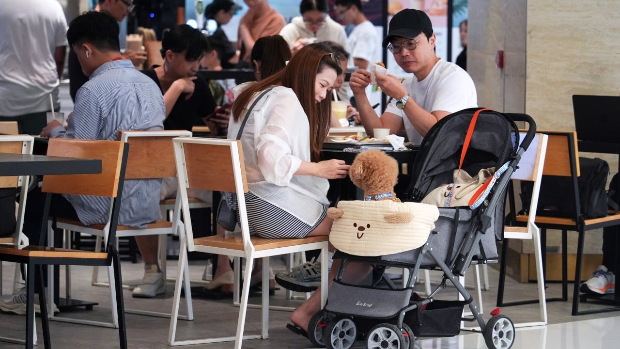 Hong Kong restaurants eye 20% business boost as 1,000 win in dog-friendly licence ballot