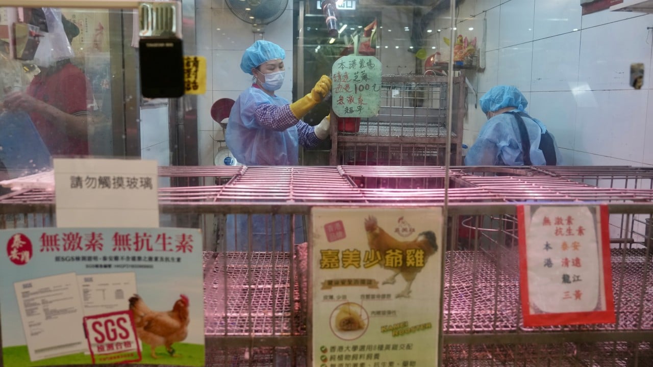 Hong Kong Poultry Stall Suspended After H9 Bird Flu Detection