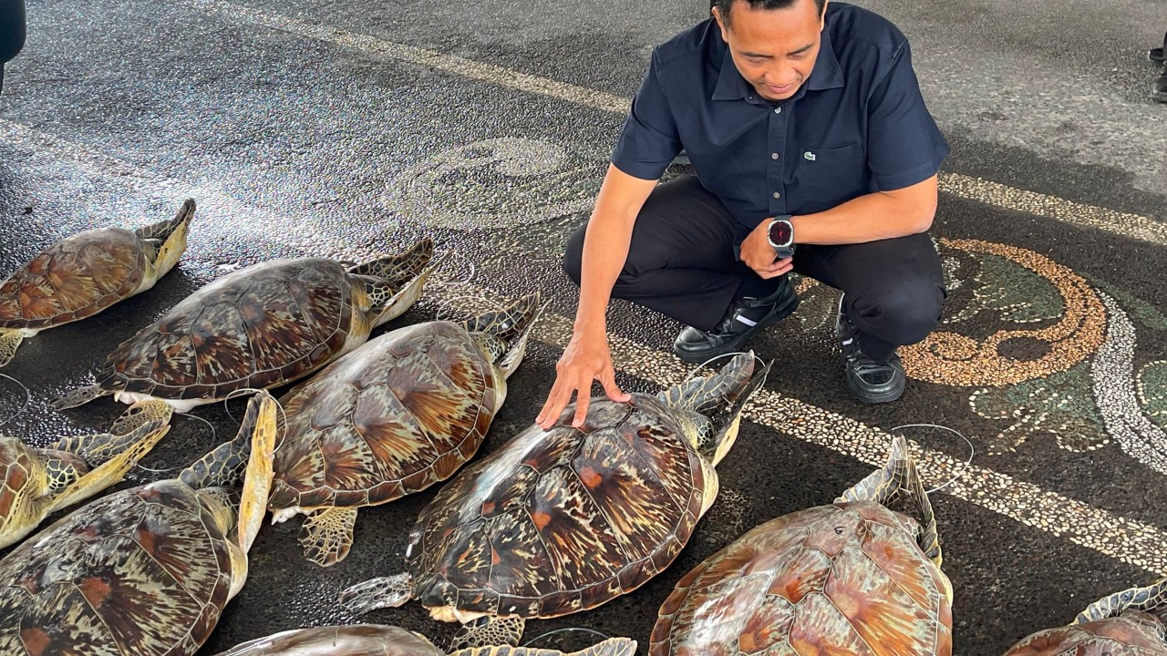 Indonesian police smash turtle-smuggling ring in Bali, rescue 21 live animals