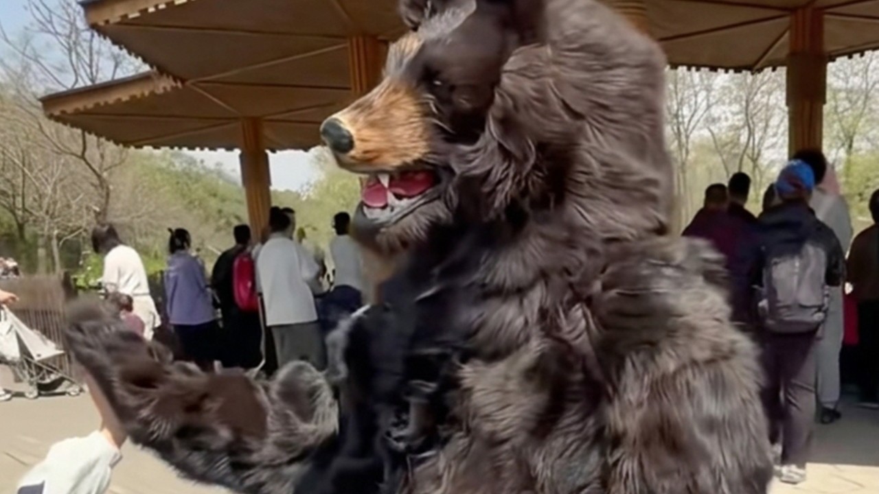 China zoo offers US$15,000 annual salary for bear costume performer with strict silence clause