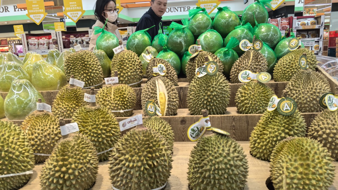 ‘Durian tsunami’ sweeps Malaysia, making premium Musang King dirt cheap