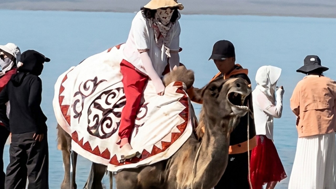 Outrage erupts after distressed tourist-carrying camel in China is forced to its feet