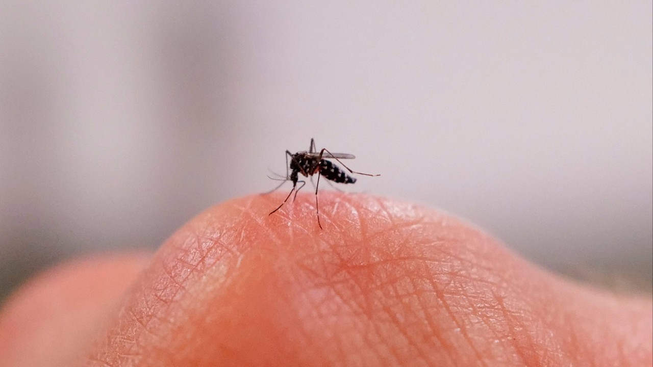 China’s AI-powered laser mosquito zapper goes viral after crowdfunding success