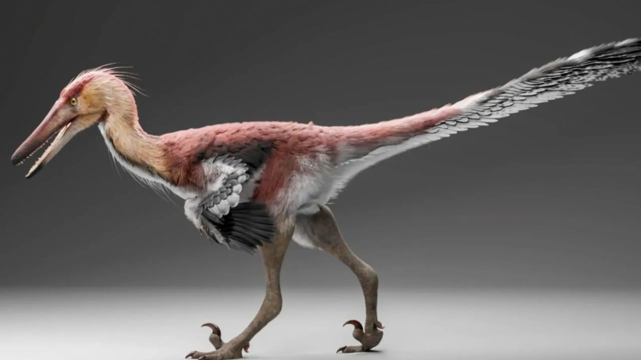 Discovery of fish-eating raptor in Argentina points to prehistoric links with China