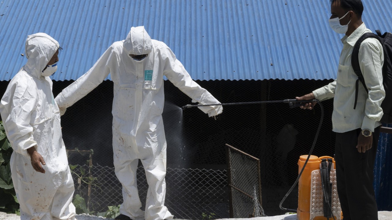 Nepal’s bird flu outbreak spreads, breeding pandemic mutation fears