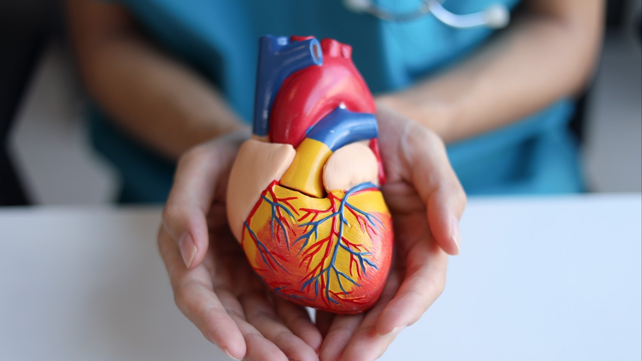 How a ‘Chinese heart’ could get US blood pumping despite biotech decoupling