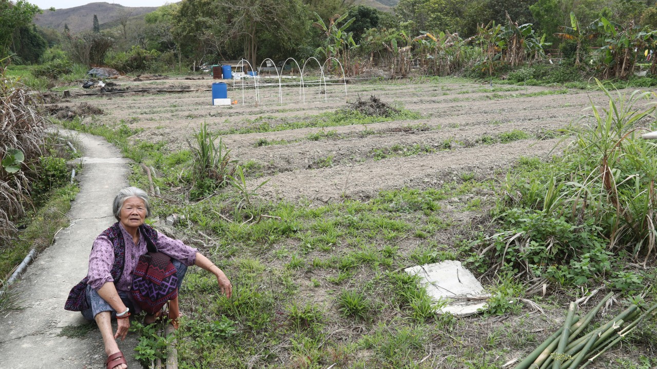 Hong Kong’s Northern Metropolis project needn’t neglect agriculture