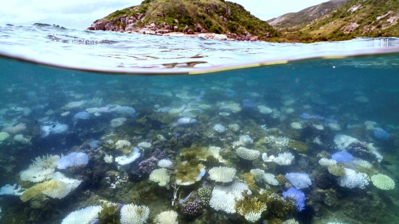 Australia’s Great Barrier Reef avoids ‘in danger’ listing by Unesco