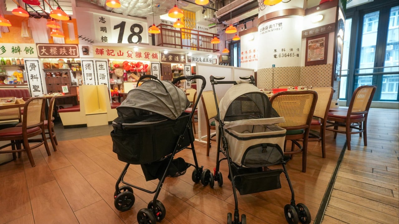 Hong Kong restaurants spend to welcome furry diners under pet-friendly scheme