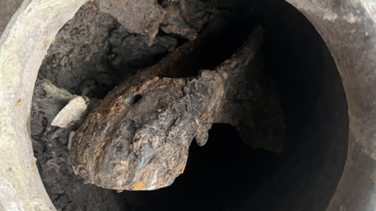 Chinese scientists’ horse-head discovery sheds light on ancient elite sacrificial traditions